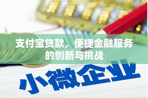禹会支付宝贷款，便捷金融服务的创新与挑战