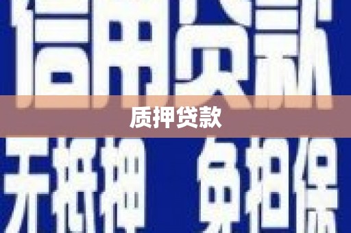 禹会质押贷款