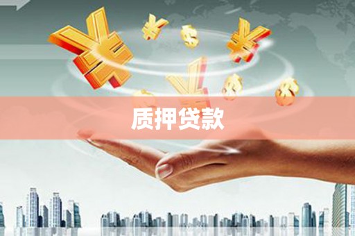 禹会质押贷款