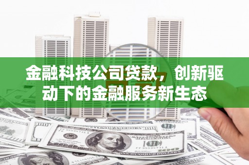禹会金融科技公司贷款，创新驱动下的金融服务新生态
