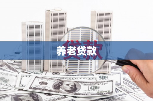 禹会养老贷款
