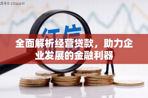 禹会全面解析经营贷款，助力企业发展的金融利器