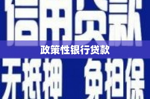 禹会政策性银行贷款