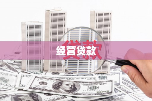 禹会经营贷款