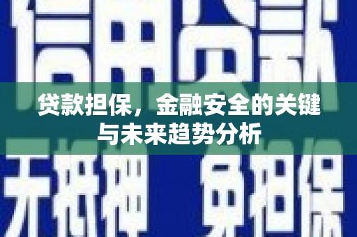 禹会贷款担保，金融安全的关键与未来趋势分析