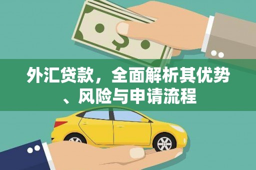 禹会外汇贷款，全面解析其优势、风险与申请流程