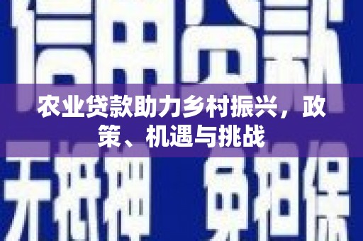 禹会农业贷款助力乡村振兴，政策、机遇与挑战
