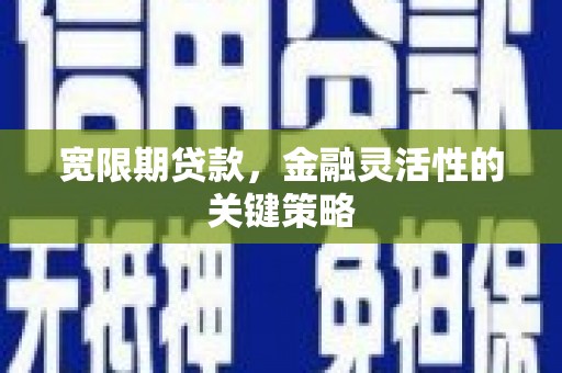 禹会宽限期贷款，金融灵活性的关键策略