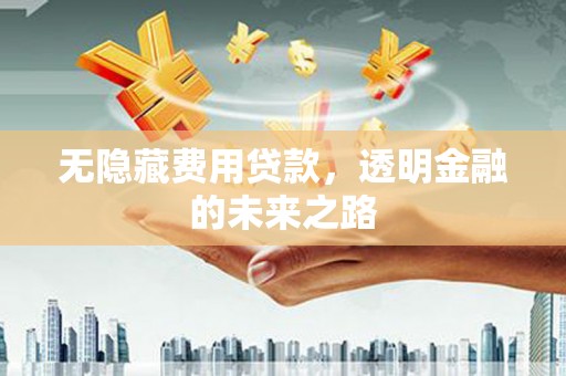 禹会无隐藏费用贷款，透明金融的未来之路