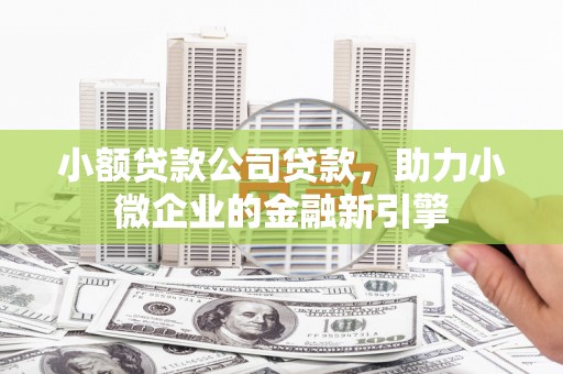 禹会小额贷款公司贷款，助力小微企业的金融新引擎