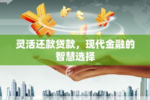 禹会灵活还款贷款，现代金融的智慧选择