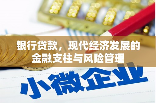 禹会银行贷款，现代经济发展的金融支柱与风险管理