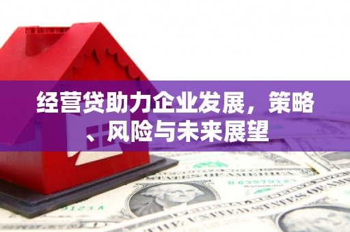 禹会经营贷助力企业发展，策略、风险与未来展望