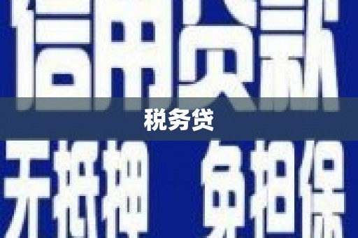 禹会税务贷