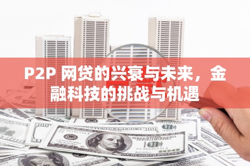 禹会P2P 网贷的兴衰与未来，金融科技的挑战与机遇