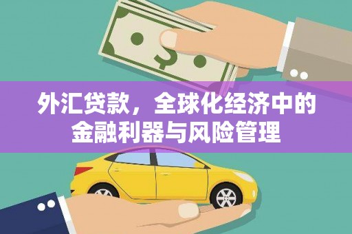禹会外汇贷款，全球化经济中的金融利器与风险管理