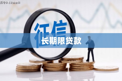 禹会长期限贷款