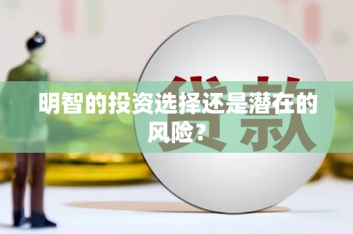 禹会明智的投资选择还是潜在的风险？