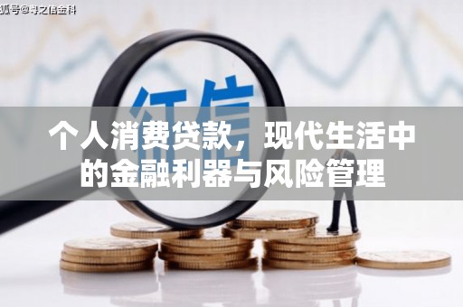 禹会个人消费贷款，现代生活中的金融利器与风险管理