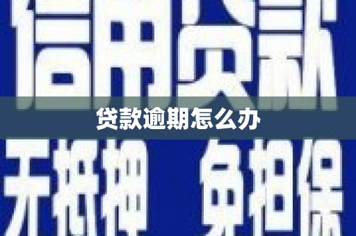 禹会贷款逾期怎么办