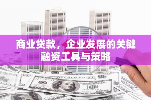 禹会商业贷款，企业发展的关键融资工具与策略