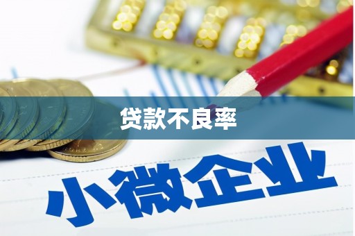 禹会贷款不良率
