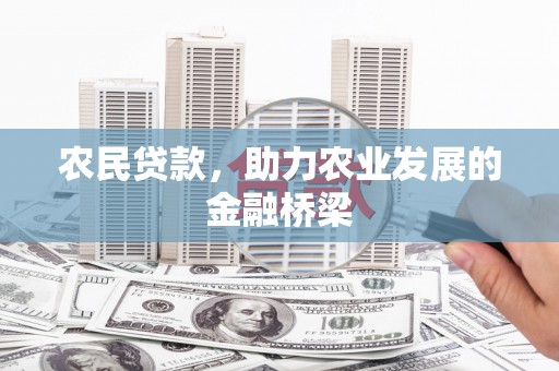 禹会农民贷款，助力农业发展的金融桥梁