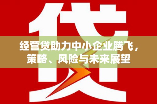 禹会经营贷助力中小企业腾飞，策略、风险与未来展望