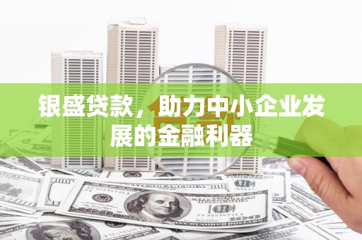 禹会银盛贷款，助力中小企业发展的金融利器