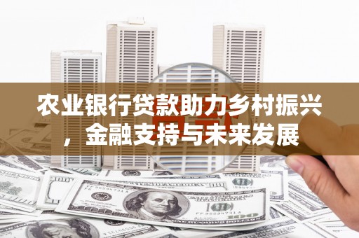 禹会农业银行贷款助力乡村振兴，金融支持与未来发展