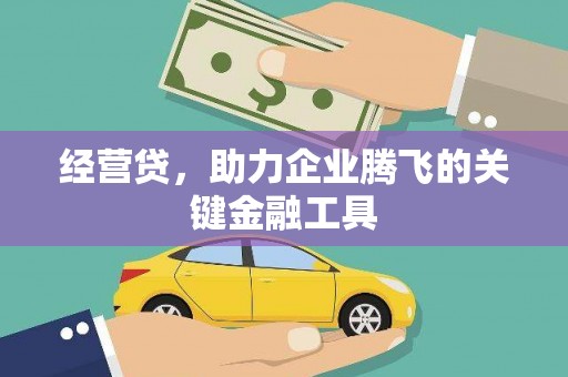 禹会经营贷，助力企业腾飞的关键金融工具