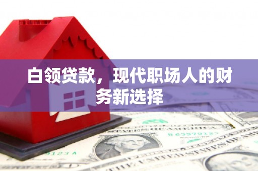禹会白领贷款，现代职场人的财务新选择