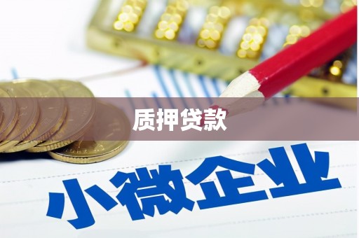 禹会质押贷款