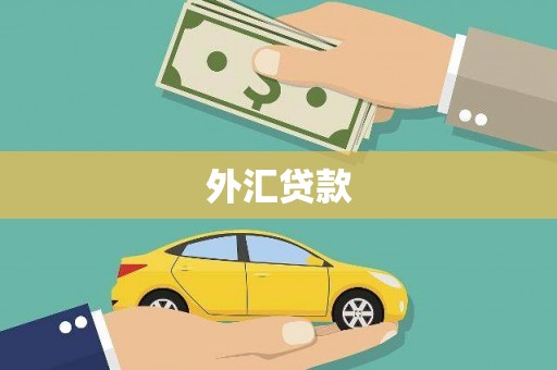 禹会外汇贷款