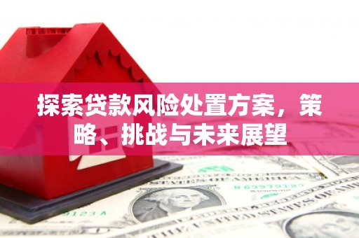 禹会探索贷款风险处置方案，策略、挑战与未来展望