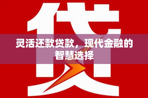 禹会灵活还款贷款，现代金融的智慧选择
