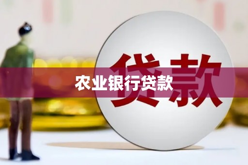 禹会农业银行贷款