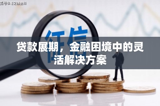 禹会贷款展期，金融困境中的灵活解决方案