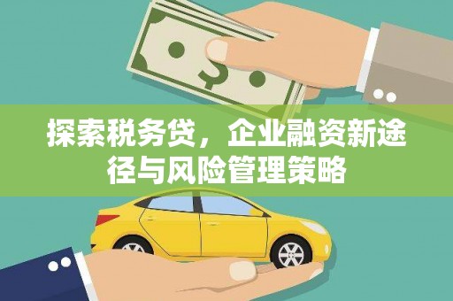禹会探索税务贷，企业融资新途径与风险管理策略