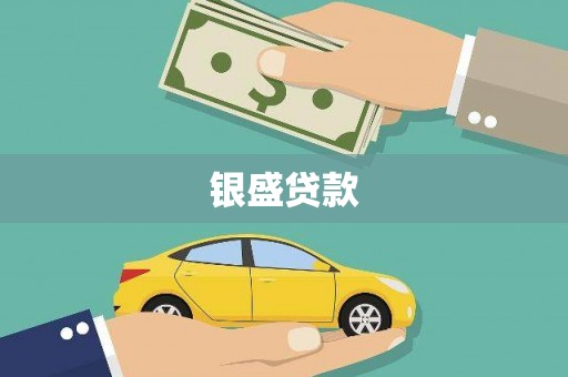 禹会银盛贷款