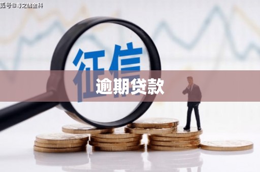 禹会逾期贷款