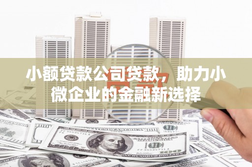 禹会小额贷款公司贷款，助力小微企业的金融新选择