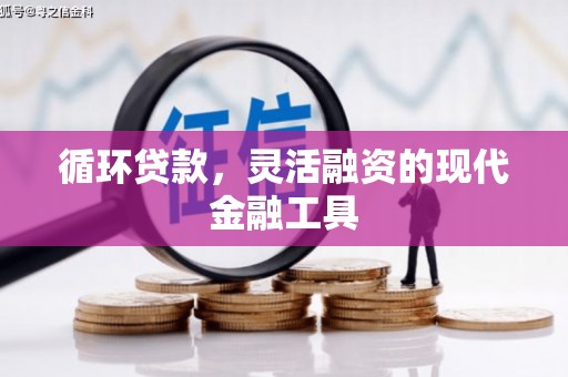 禹会循环贷款，灵活融资的现代金融工具