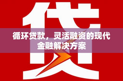 禹会循环贷款，灵活融资的现代金融解决方案