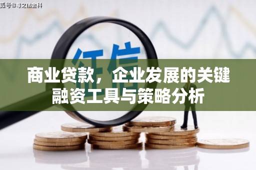 禹会商业贷款，企业发展的关键融资工具与策略分析