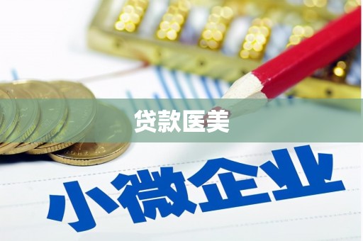 禹会贷款医美