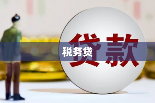 禹会税务贷