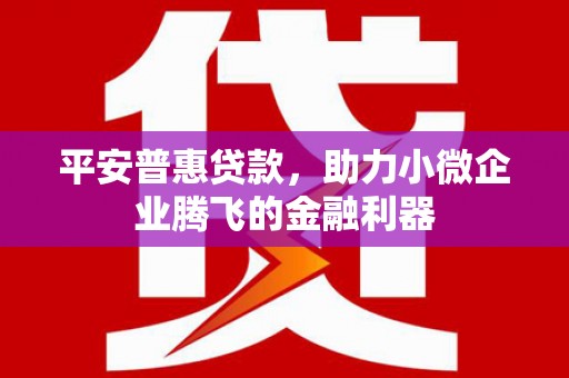 禹会平安普惠贷款，助力小微企业腾飞的金融利器