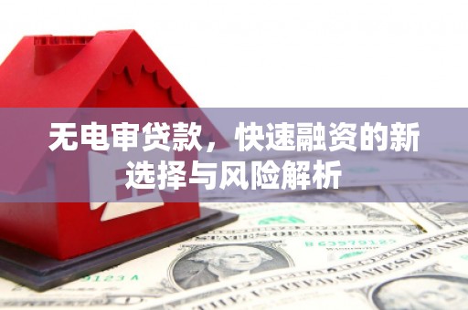 禹会无电审贷款，快速融资的新选择与风险解析