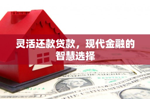 禹会灵活还款贷款，现代金融的智慧选择